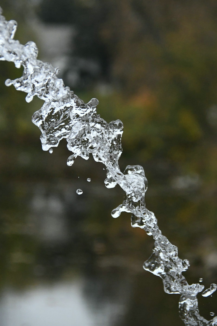 氨氮在線監測儀